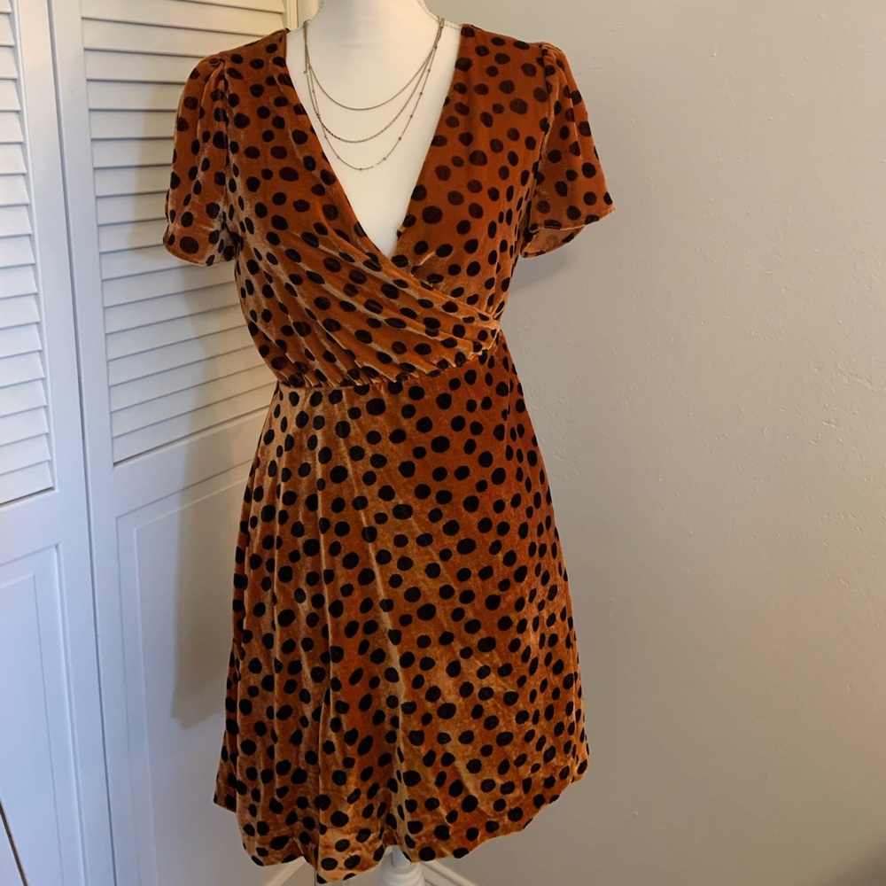 Madewell velvet wrap dress in leopard dot